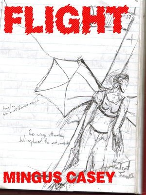 cover image of Flight
